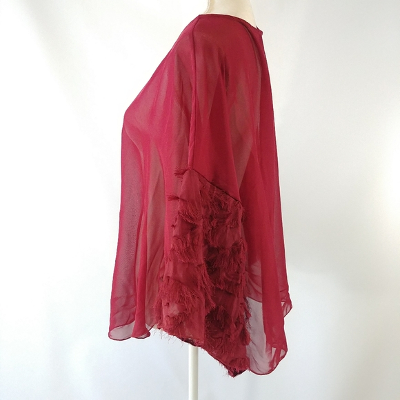 ✨3 for $30✨ Sheer Red Top w/ Detailed Sleeves - Picture 2 of 7